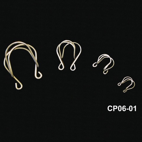 CP06-01