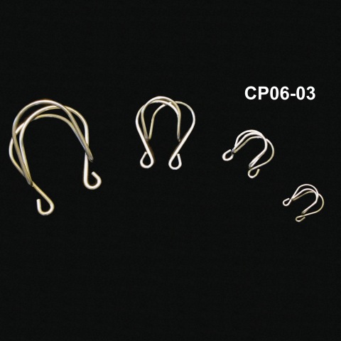 CP06-03